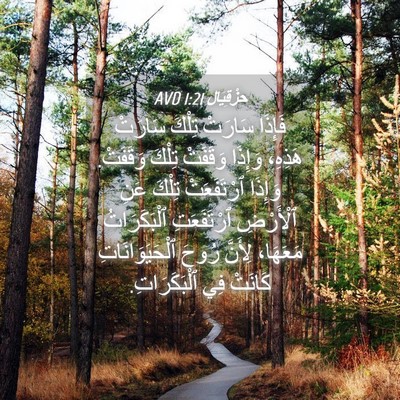Picture 04 - حِزْقِيَال 1:21 AVD - فَإِذَا سَارَتْ تِلْكَ - Bible Verse Picture