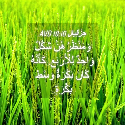 Picture 04 - حِزْقِيَال 10:10 AVD - وَمَنْظَرُهُنَّ شَكْلٌ - Bible Verse Picture