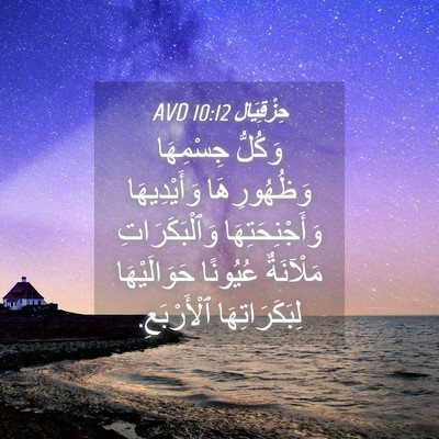 Picture 04 - حِزْقِيَال 10:12 AVD - وَكُلُّ جِسْمِهَا - Bible Verse Picture