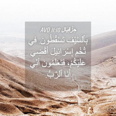 Picture 04 - حِزْقِيَال 11:10 AVD - بِٱلسَّيْفِ تَسْقُطُونَ. - Bible Verse Picture