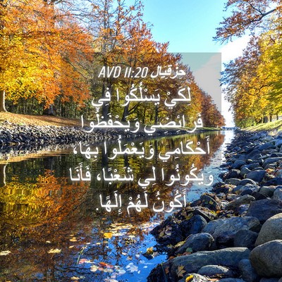 Picture 04 - حِزْقِيَال 11:20 AVD - لِكَيْ يَسْلُكُوا فِي - Bible Verse Picture