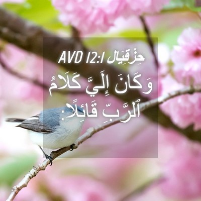 Picture 04 - حِزْقِيَال 12:1 AVD - وَكَانَ إِلَيَّ كَلَامُ - Bible Verse Picture
