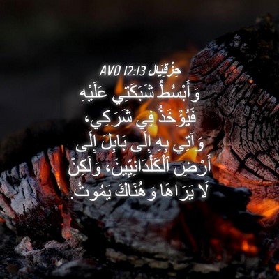 Picture 04 - حِزْقِيَال 12:13 AVD - وَأَبْسُطُ شَبَكَتِي - Bible Verse Picture
