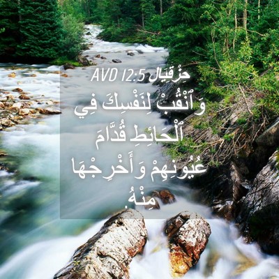 Picture 04 - حِزْقِيَال 12:5 AVD - وَٱنْقُبْ لِنَفْسِكَ فِي - Bible Verse Picture