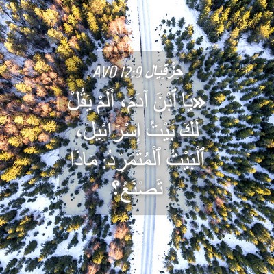 Picture 04 - حِزْقِيَال 12:9 AVD - «يَا ٱبْنَ آدَمَ، أَلَمْ - Bible Verse Picture