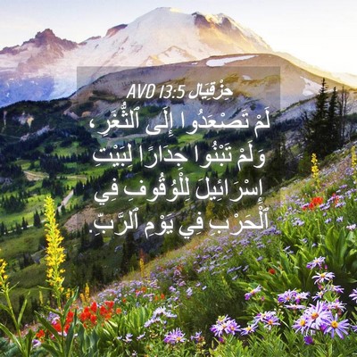Picture 04 - حِزْقِيَال 13:5 AVD - لَمْ تَصْعَدُوا إِلَى - Bible Verse Picture