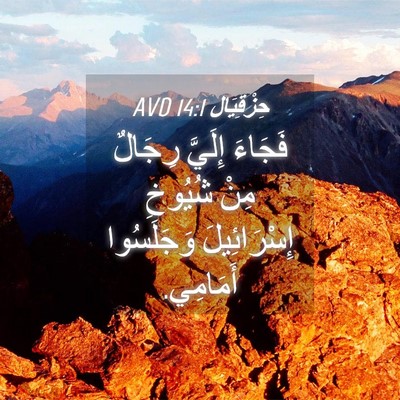 Picture 04 - حِزْقِيَال 14:1 AVD - فَجَاءَ إِلَيَّ رِجَالٌ - Bible Verse Picture