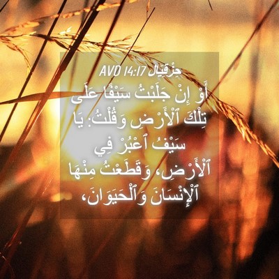 Picture 04 - حِزْقِيَال 14:17 AVD - أَوْ إِنْ جَلَبْتُ سَيْفًا - Bible Verse Picture