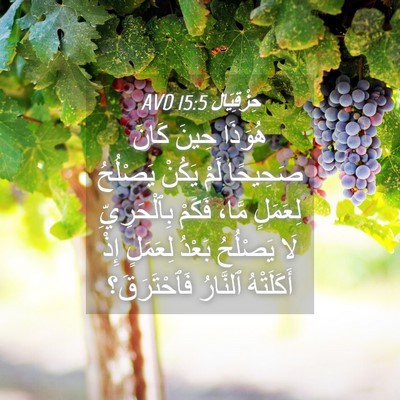 Picture 04 - حِزْقِيَال 15:5 AVD - هُوَذَا حِينَ كَانَ - Bible Verse Picture