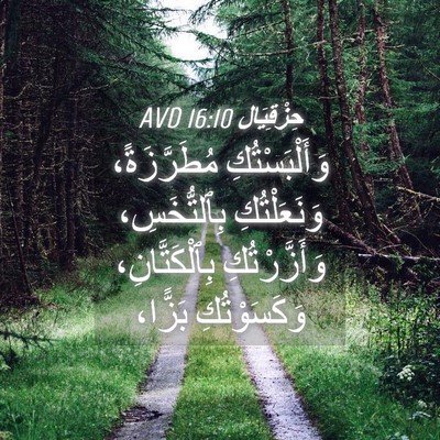 Picture 04 - حِزْقِيَال 16:10 AVD - وَأَلْبَسْتُكِ - Bible Verse Picture