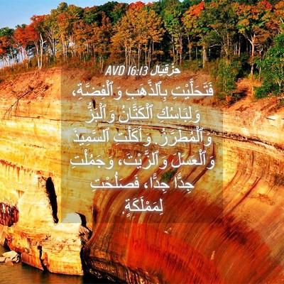 Picture 04 - حِزْقِيَال 16:13 AVD - فَتَحَلَّيْتِ بِٱلذَّهَبِ - Bible Verse Picture