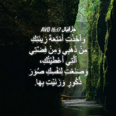 Picture 04 - حِزْقِيَال 16:17 AVD - وَأَخَذْتِ أَمْتِعَةَ - Bible Verse Picture