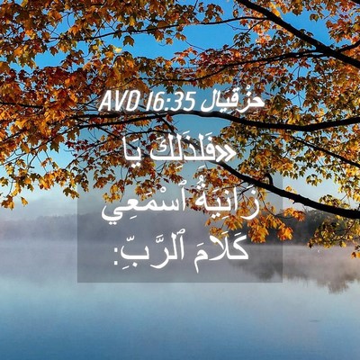 Picture 04 - حِزْقِيَال 16:35 AVD - «فَلِذَلِكَ يَا زَانِيَةُ - Bible Verse Picture