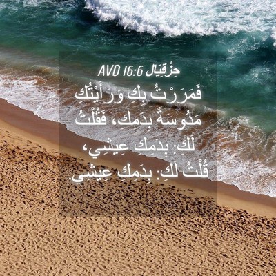Picture 04 - حِزْقِيَال 16:6 AVD - فَمَرَرْتُ بِكِ - Bible Verse Picture