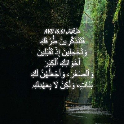 Picture 04 - حِزْقِيَال 16:61 AVD - فَتَتَذَكَّرِينَ طُرُقَكِ - Bible Verse Picture