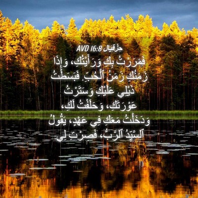 Picture 04 - حِزْقِيَال 16:8 AVD - فَمَرَرْتُ بِكِ - Bible Verse Picture