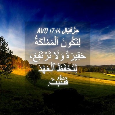 Picture 04 - حِزْقِيَال 17:14 AVD - لِتَكُونَ ٱلْمَمْلَكَةُ - Bible Verse Picture
