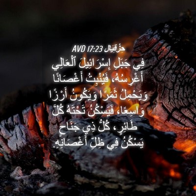 Picture 04 - حِزْقِيَال 17:23 AVD - فِي جَبَلِ إِسْرَائِيلَ - Bible Verse Picture