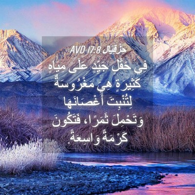 Picture 04 - حِزْقِيَال 17:8 AVD - فِي حَقْلٍ جَيِّدٍ عَلَى - Bible Verse Picture