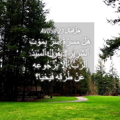 Picture 04 - حِزْقِيَال 18:23 AVD - هَلْ مَسَرَّةً أُسَرُّ - Bible Verse Picture