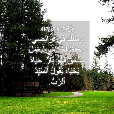Picture 04 - حِزْقِيَال 18:9 AVD - وَسَلَكَ فِي فَرَائِضِي - Bible Verse Picture