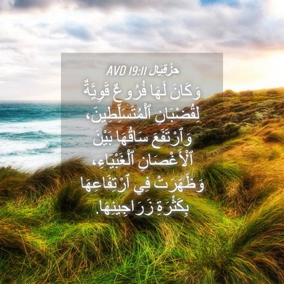 Picture 04 - حِزْقِيَال 19:11 AVD - وَكَانَ لَهَا فُرُوعٌ - Bible Verse Picture