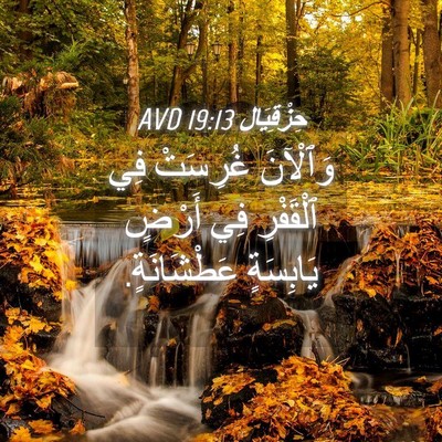Picture 04 - حِزْقِيَال 19:13 AVD - وَٱلْآنَ غُرِسَتْ فِي - Bible Verse Picture