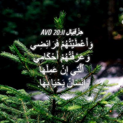 Picture 04 - حِزْقِيَال 20:11 AVD - وَأَعْطَيْتُهُمْ - Bible Verse Picture