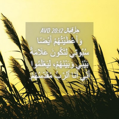 Picture 04 - حِزْقِيَال 20:12 AVD - وَأَعْطَيْتُهُمْ أَيْضًا - Bible Verse Picture