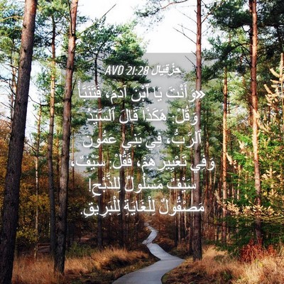 Picture 04 - حِزْقِيَال 21:28 AVD - «وَأَنْتَ يَا ٱبْنَ آدَمَ، - Bible Verse Picture