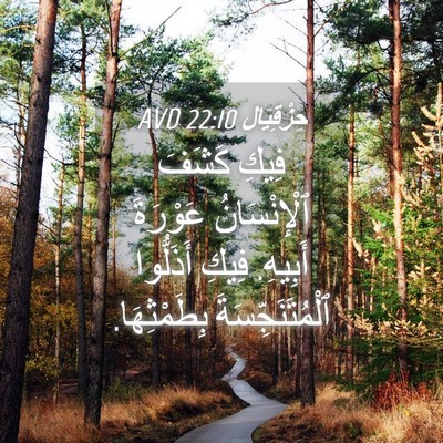 Picture 04 - حِزْقِيَال 22:10 AVD - فِيكِ كَشَفَ ٱلْإِنْسَانُ - Bible Verse Picture