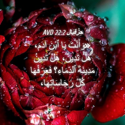 Picture 04 - حِزْقِيَال 22:2 AVD - «وَأَنْتَ يَا ٱبْنَ آدَمَ، - Bible Verse Picture