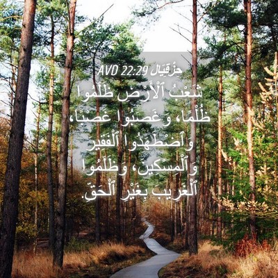 Picture 04 - حِزْقِيَال 22:29 AVD - شَعْبُ ٱلْأَرْضِ ظَلَمُوا - Bible Verse Picture