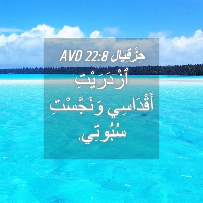 Picture 04 - حِزْقِيَال 22:8 AVD - ٱزْدَرَيْتِ أَقْدَاسِي - Bible Verse Picture