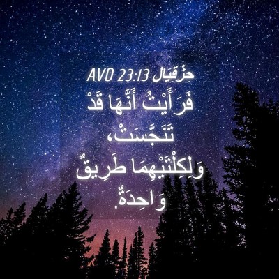 Picture 04 - حِزْقِيَال 23:13 AVD - فَرَأَيْتُ أَنَّهَا قَدْ - Bible Verse Picture