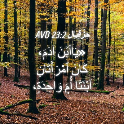 Picture 04 - حِزْقِيَال 23:2 AVD - «يَاٱبْنَ آدَمَ، كَانَ - Bible Verse Picture