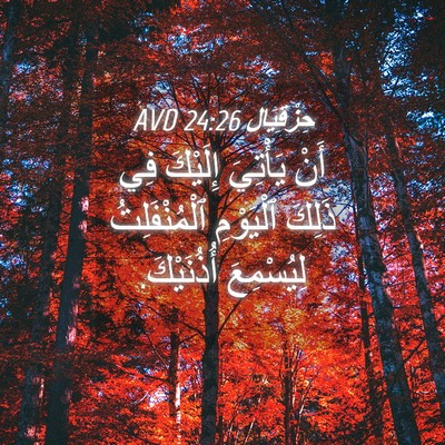 Picture 04 - حِزْقِيَال 24:26 AVD - أَنْ يَأْتِيَ إِلَيْكَ فِي - Bible Verse Picture