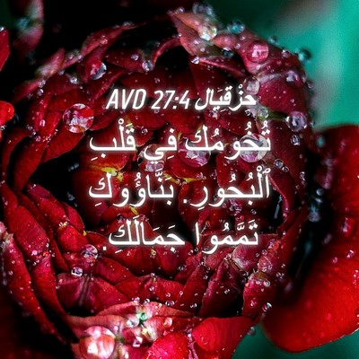 Picture 04 - حِزْقِيَال 27:4 AVD - تُخُومُكِ فِي قَلْبِ - Bible Verse Picture