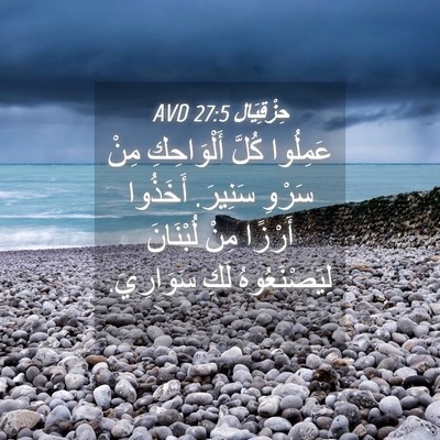 Picture 04 - حِزْقِيَال 27:5 AVD - عَمِلُوا كُلَّ - Bible Verse Picture