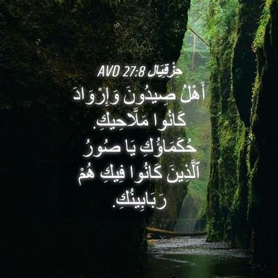 Picture 04 - حِزْقِيَال 27:8 AVD - أَهْلُ صِيدُونَ - Bible Verse Picture