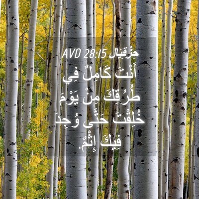 Picture 04 - حِزْقِيَال 28:15 AVD - أَنْتَ كَامِلٌ فِي - Bible Verse Picture