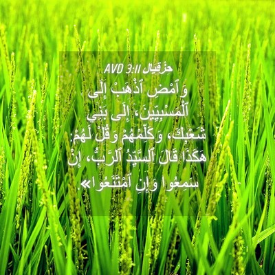 Picture 04 - حِزْقِيَال 3:11 AVD - وَٱمْضِ ٱذْهَبْ إِلَى - Bible Verse Picture