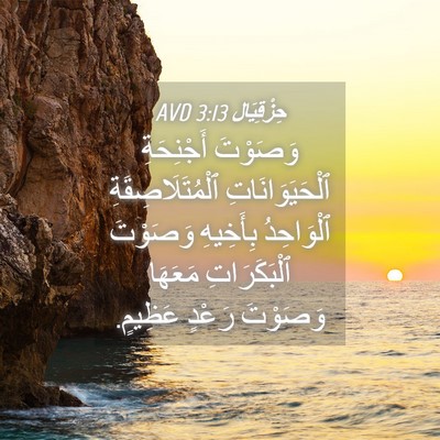 Picture 04 - حِزْقِيَال 3:13 AVD - وَصَوْتَ أَجْنِحَةِ - Bible Verse Picture