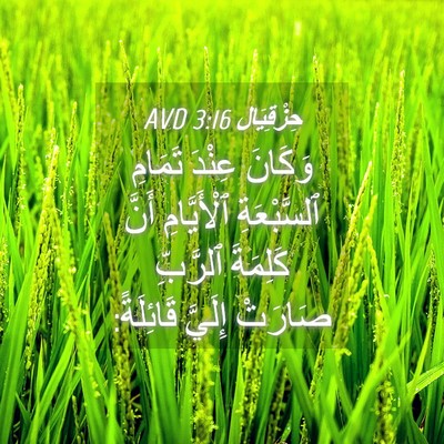 Picture 04 - حِزْقِيَال 3:16 AVD - وَكَانَ عِنْدَ تَمَامِ - Bible Verse Picture