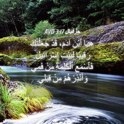 Picture 04 - حِزْقِيَال 3:17 AVD - «يَا ٱبْنَ آدَمَ، قَدْ - Bible Verse Picture