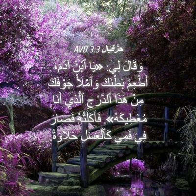 Picture 04 - حِزْقِيَال 3:3 AVD - وَقَالَ لِي: «يَا ٱبْنَ - Bible Verse Picture