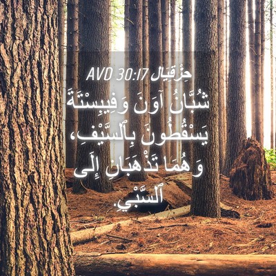 Picture 04 - حِزْقِيَال 30:17 AVD - شُبَّانُ آوَنَ - Bible Verse Picture