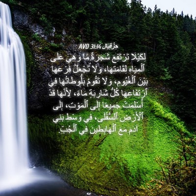 Picture 04 - حِزْقِيَال 31:14 AVD - لِكَيْلَا تَرْتَفِعَ - Bible Verse Picture
