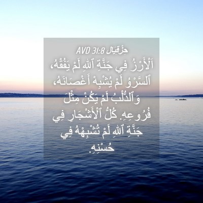 Picture 04 - حِزْقِيَال 31:8 AVD - اَلْأَرْزُ فِي جَنَّةِ - Bible Verse Picture