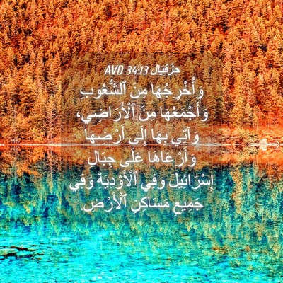 Picture 04 - حِزْقِيَال 34:13 AVD - وَأُخْرِجُهَا مِنَ - Bible Verse Picture
